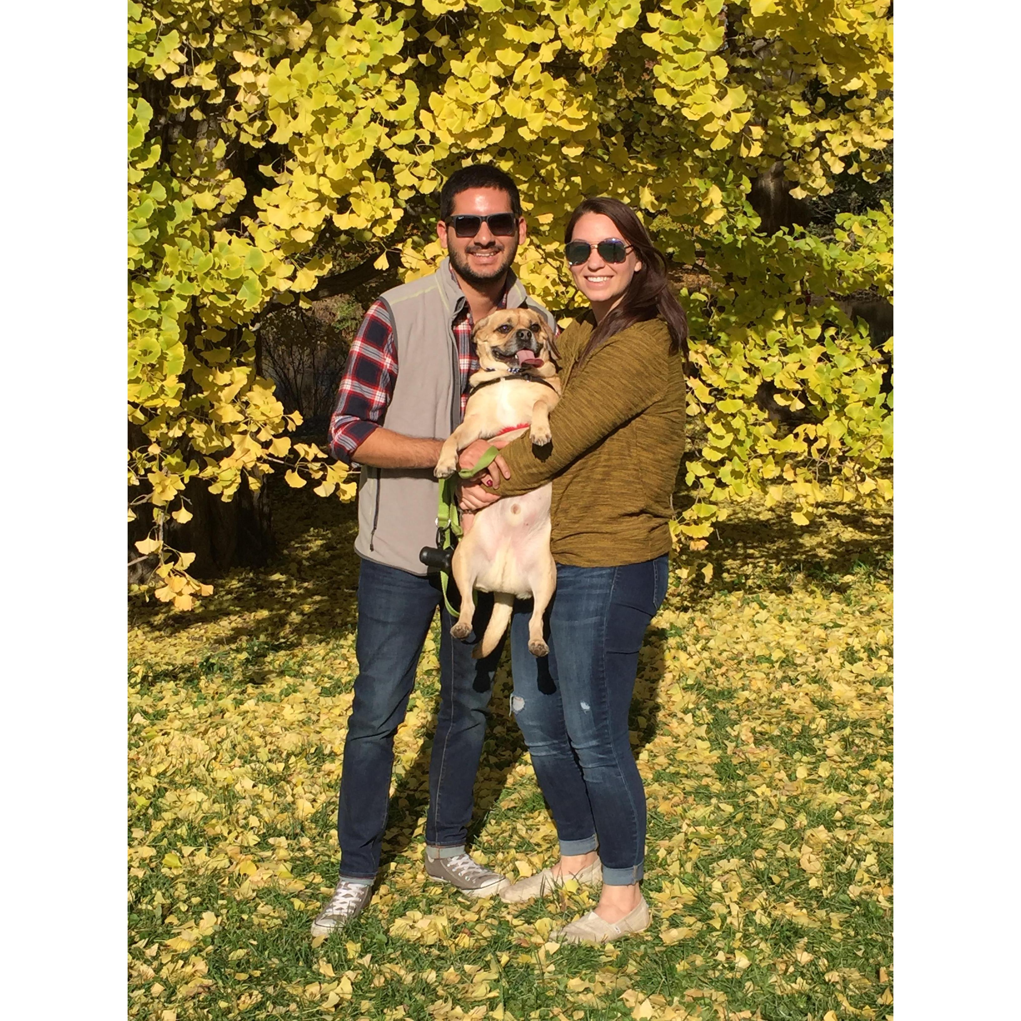 Dogs Days at one of our favorite places - the Morton Arboretum!