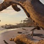 Big Talbot Island State Park