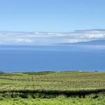 Maui Winery