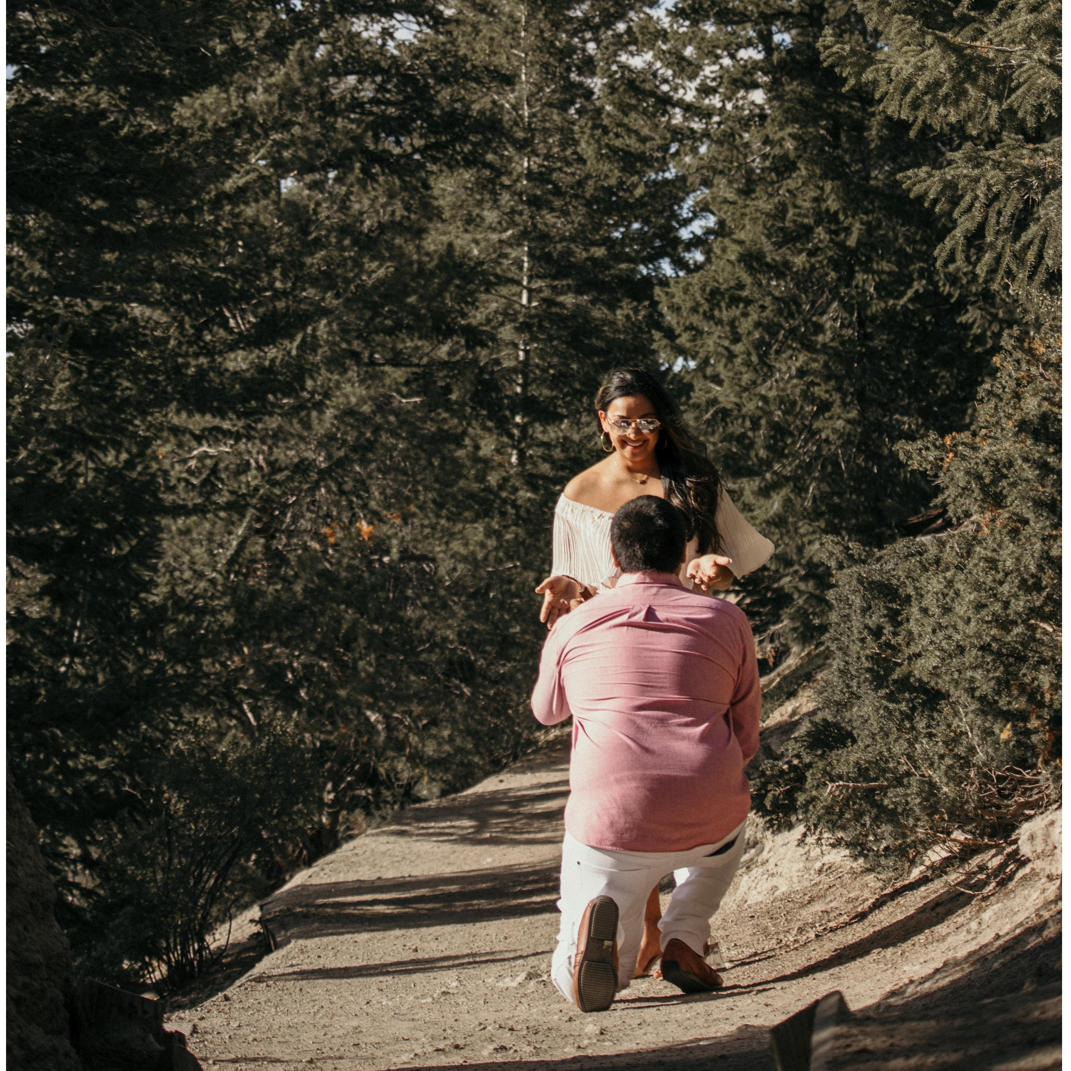 When he first popped the question, Janki was yelling at him about his white pants getting dirty.