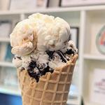 Mount Desert Island Ice Cream