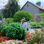 Equinox Valley Nursery