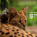 Zoo in Forest Park and Education Center