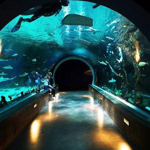 Aquarium Family Membership