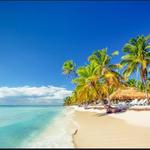 Visit Saona Island