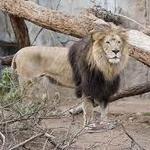 San Diego Zoo
