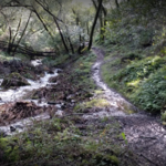 Skyline Wilderness Park