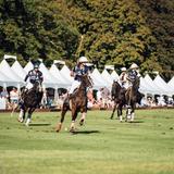 Newport Polo