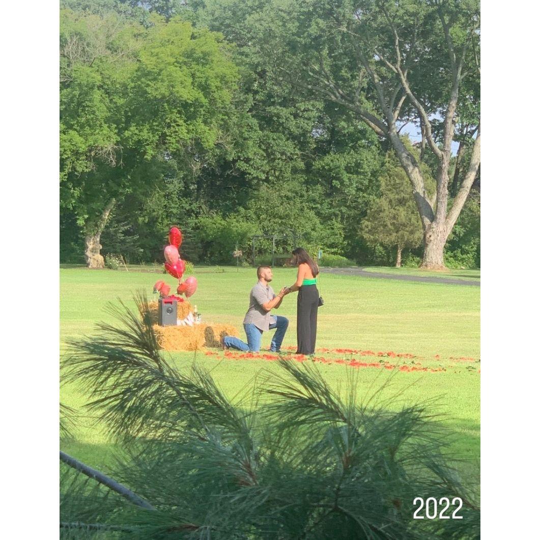 The Proposal