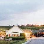Black Ankle Vineyards