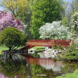 Dow Gardens and the Whiting Forest of Dow Gardens