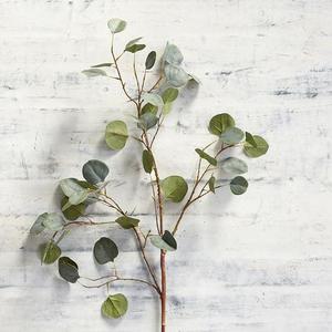 Faux Silver Dollar Eucalyptus Branch