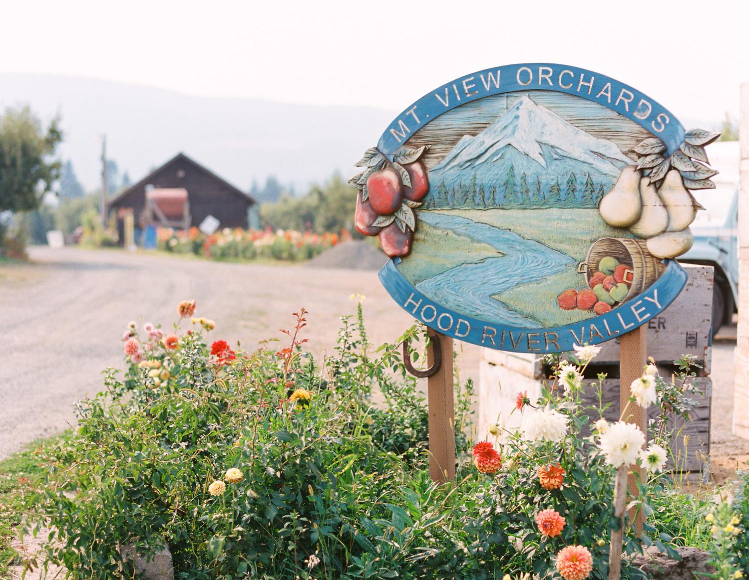 The Wedding Website of Allie Cabrera and Matt Williams