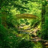 Asheville Botanical Gardens