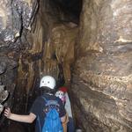 Illinois Caverns State Natural Area