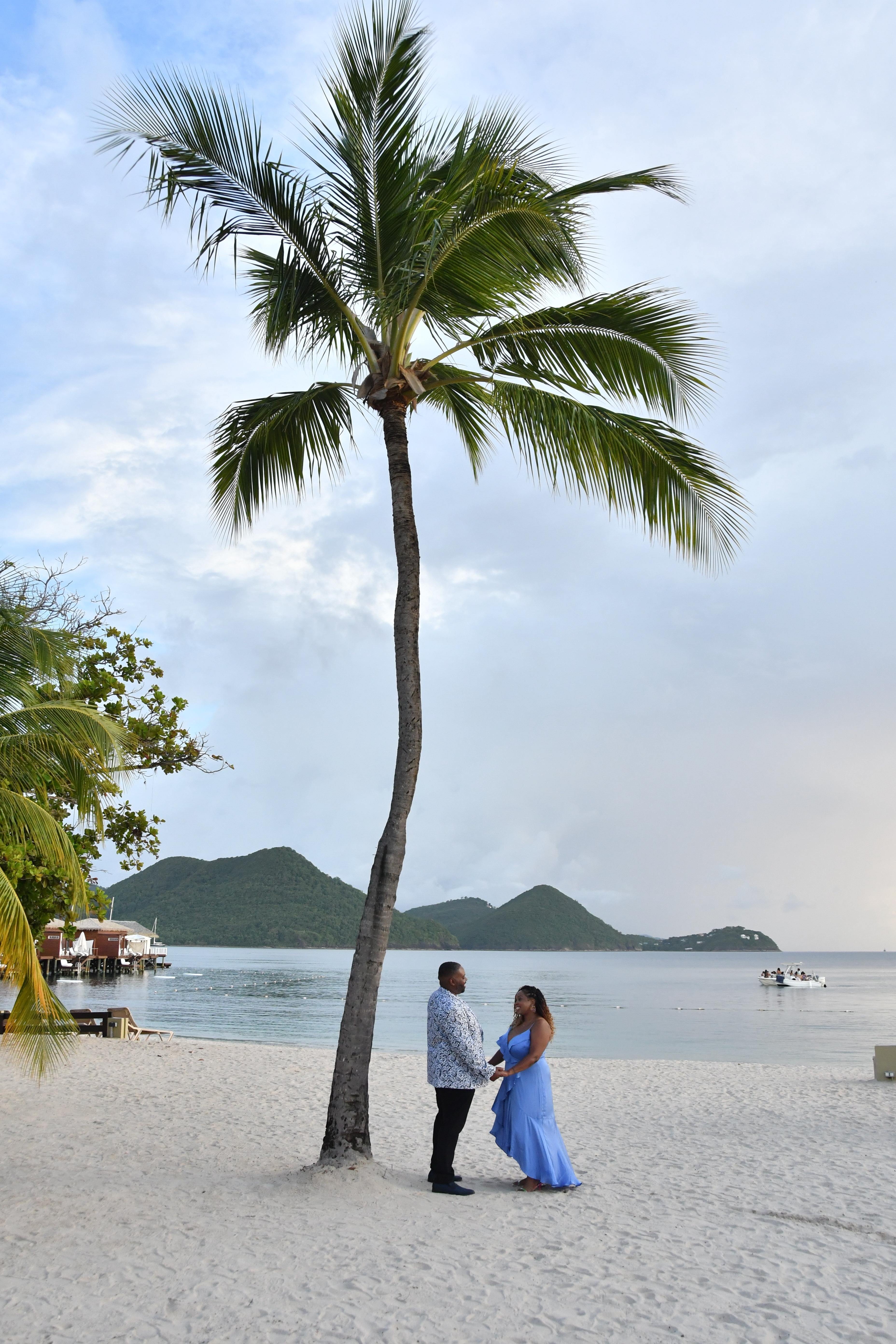 The Wedding Website of Tiarra Gibson and Demond Sanders