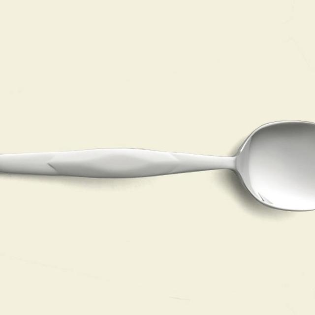 Stainless Sugar Spoon