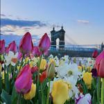 Smale Riverfront Park