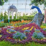 Phipps Conservatory and Botanical Gardens