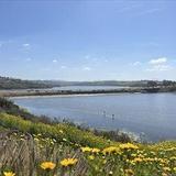 Agua Hedionda Lagoon