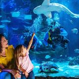 SEA LIFE at Mall of America