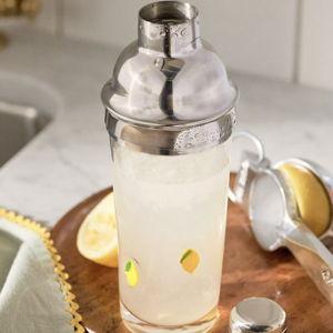 Icon Cocktail Shaker