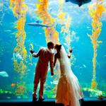 Birch Aquarium at Scripps Institution of Oceanography