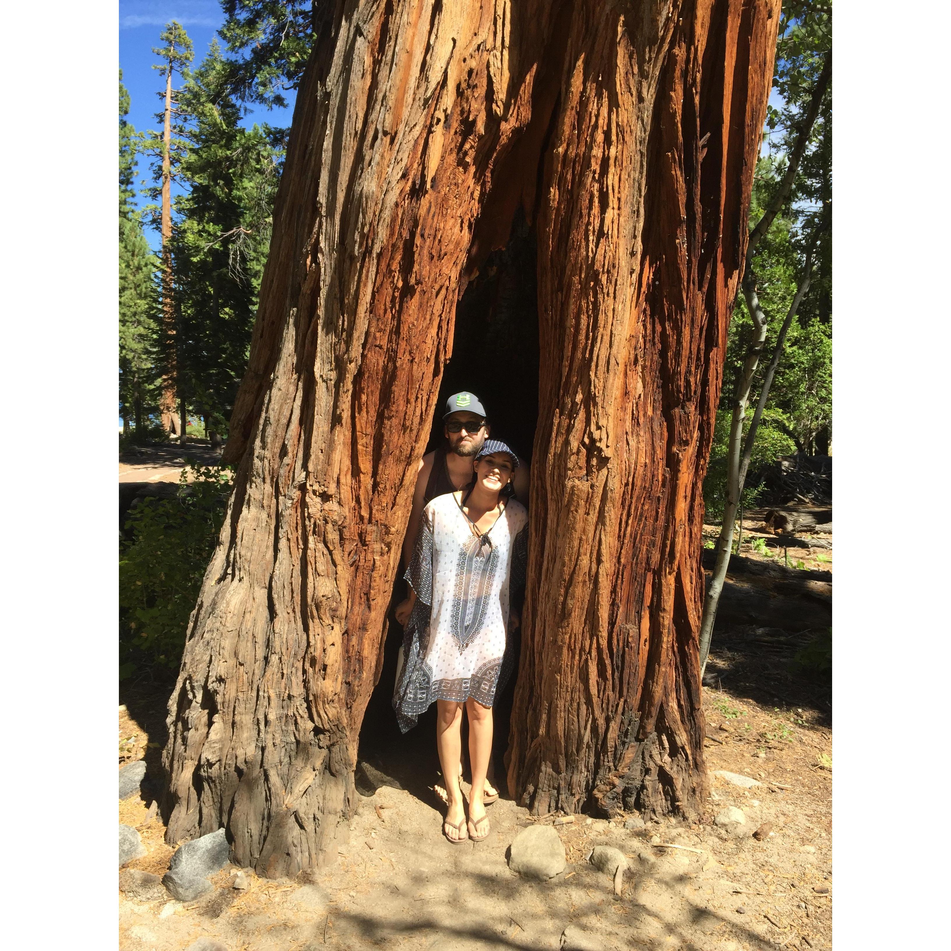 Our first trip to Lake Tahoe when Dane said "I love you" first. 
September 2016