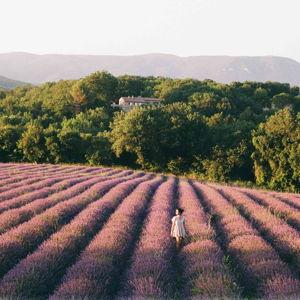 Honeymoon in Provence