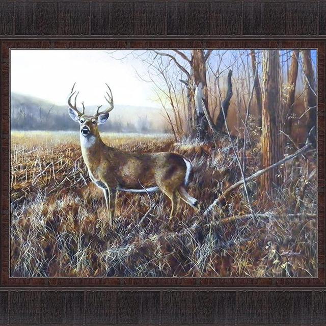Bluff Country Buck by Jim Hansel 17x21 Whitetail Deer Framed Art Print Wall Décor Picture