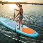 Water Sport Rentals, Deep Sea Fishing Charters, & More !