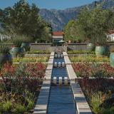 The Huntington Library, Art Museum, and Botanical Gardens