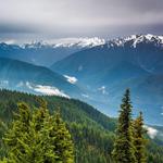 Olympic National Park Visitor Center