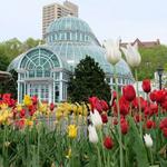 Brooklyn Botanic Garden