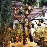 Zona T - Bogotá Restaurants