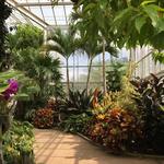 Daniel Stowe Conservancy