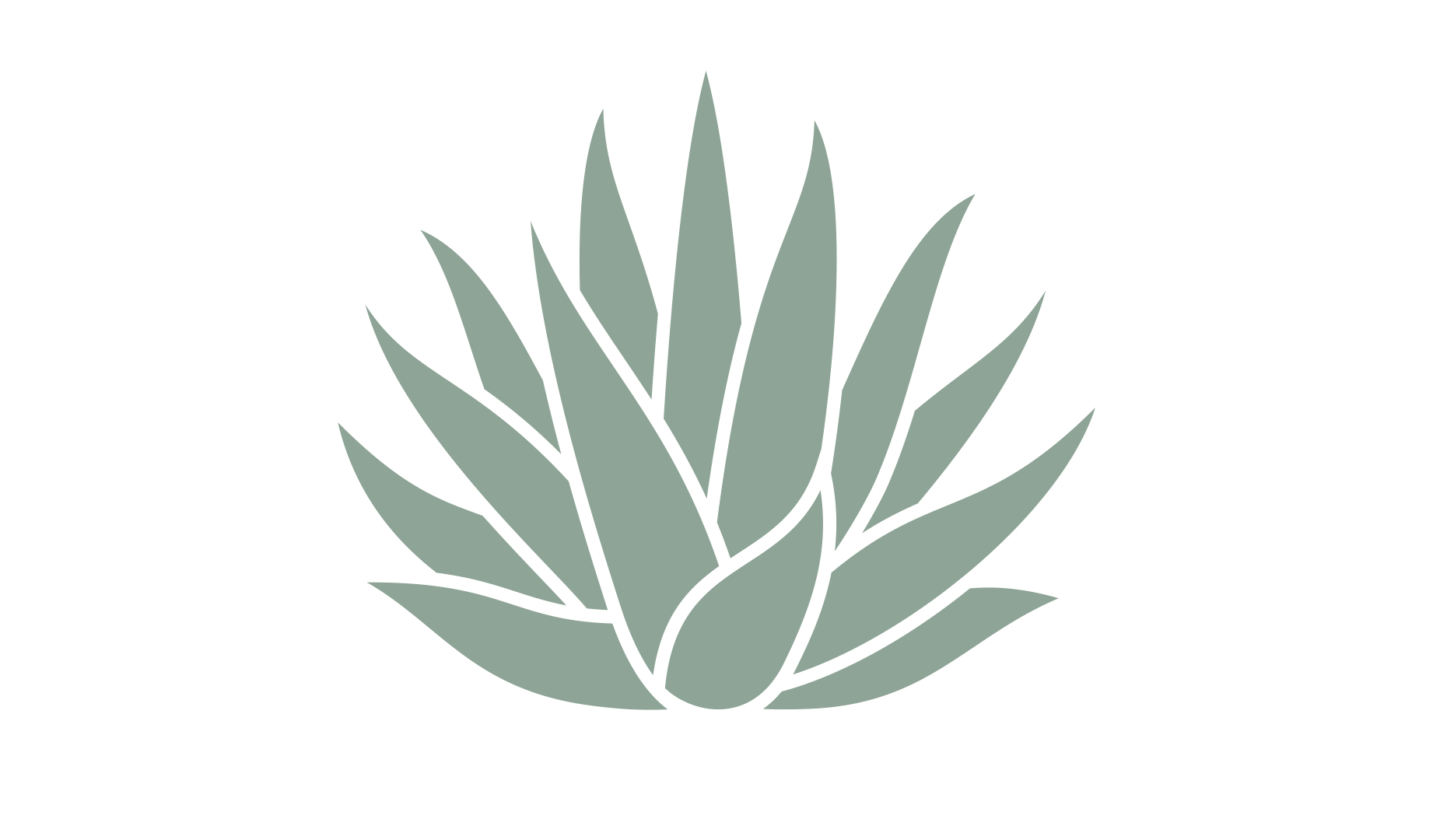 Footer image