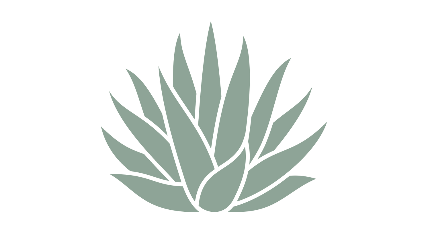 Footer image