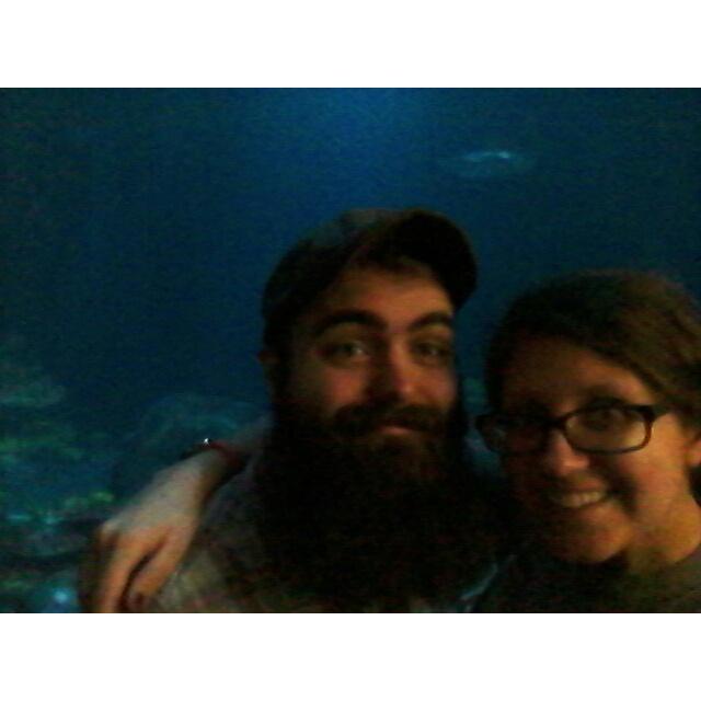 Shedd Aquarium Chicago 2015