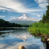Mt. Hood National Forest