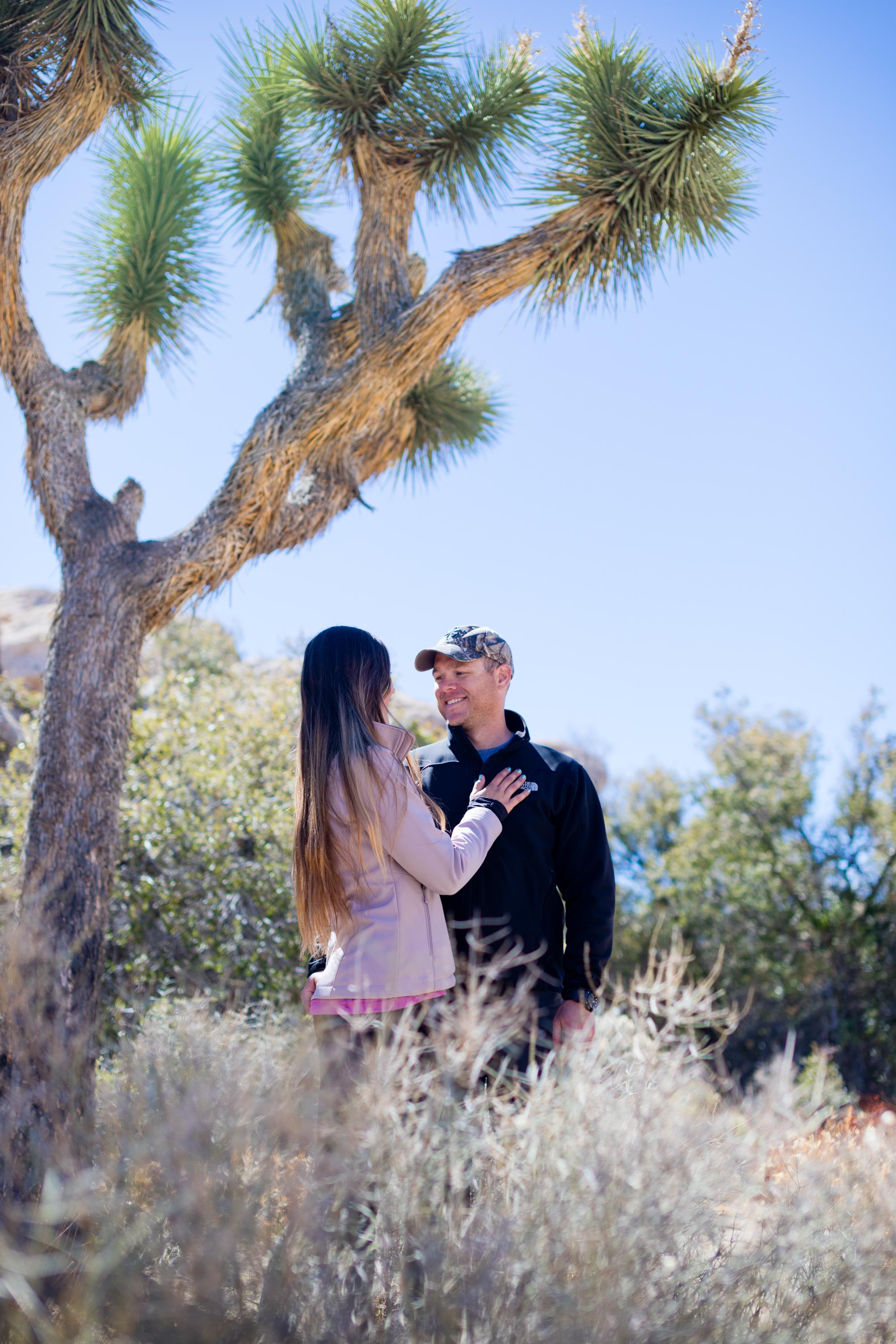 The Wedding Website of Danijela Knezevic and Craig Sullivan