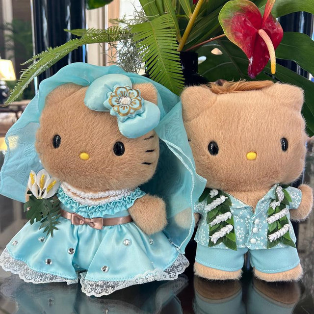 Lizzy & Mitchell’s Island “I Do” Fund 🌺