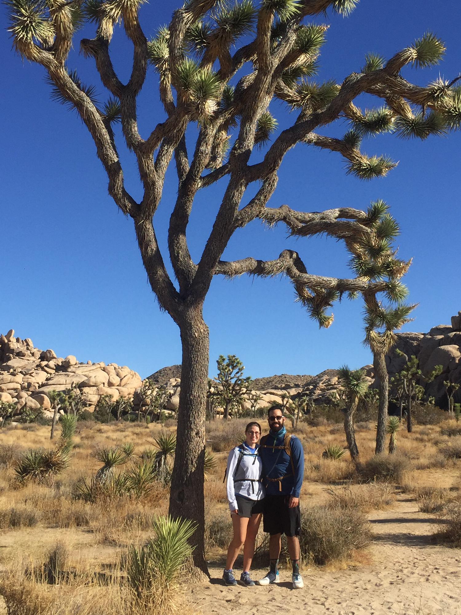 From a visit to Joshua Tree National Park.