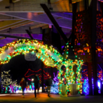 Christmas at the Zoo