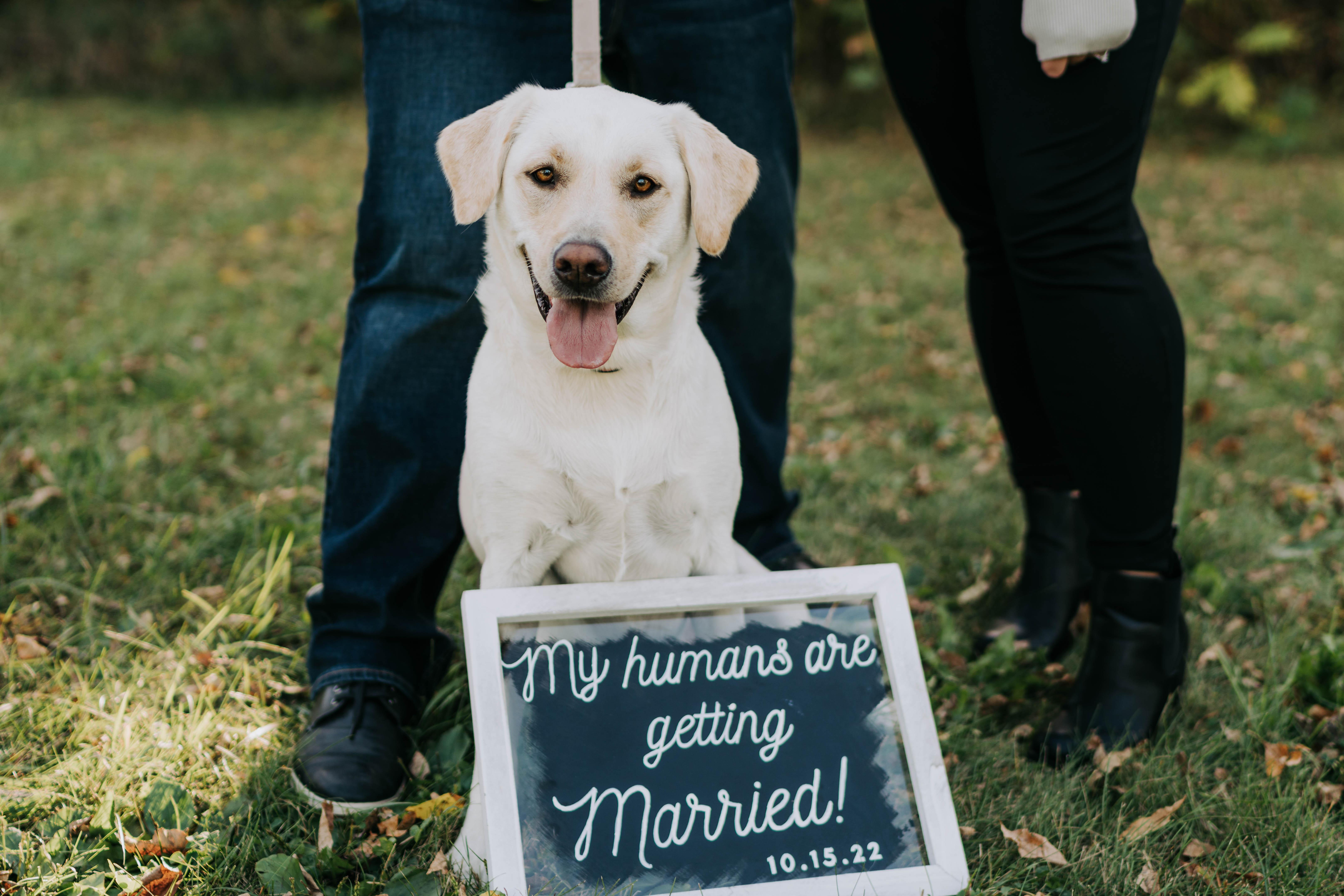 The Wedding Website of Maggie Hiatt and Vlad Matveyev