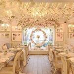 The Cake Bake Shop by Gwendolyn Rogers