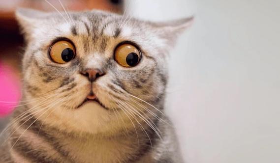 The Wedding Website of Mary O'Brien and Dylan Krantz