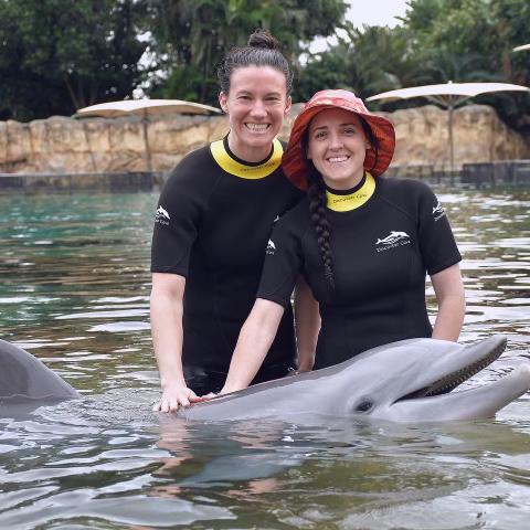 Swimming with dolphins in Florida!