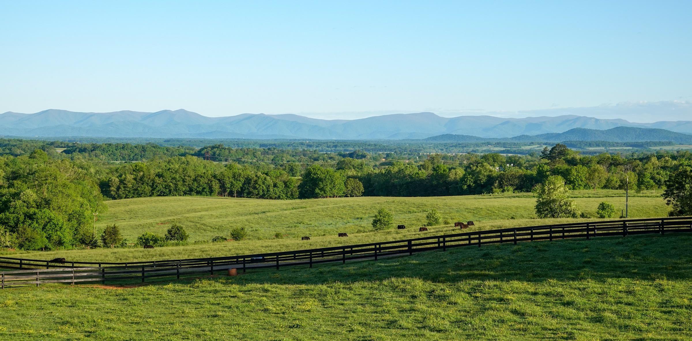 The Wedding Website of Madalyn Erika Messier and Tyler Hart Swisher