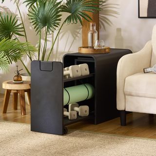 Sidekick Sport Storage Unit